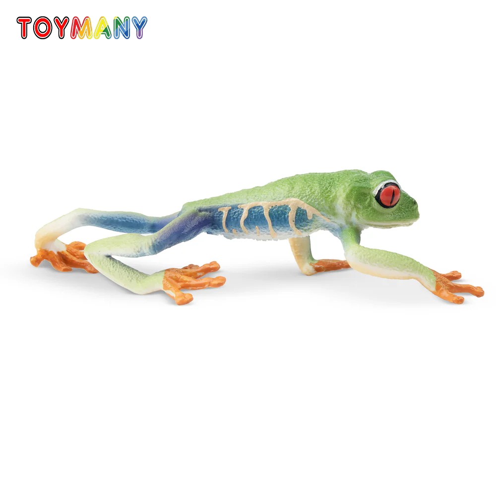 Art Craft Eyes - Toymany Simulation Red-eyed Tree Frog Reptile