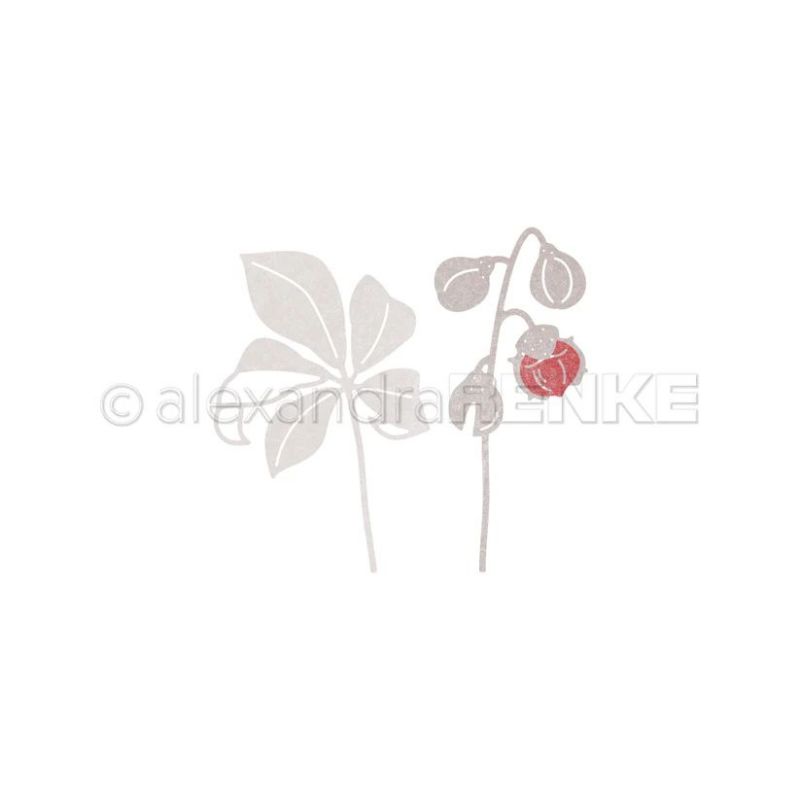 Piggy Craft metal cutting dies - Stencil Cutting Plotter ulasan dan harga