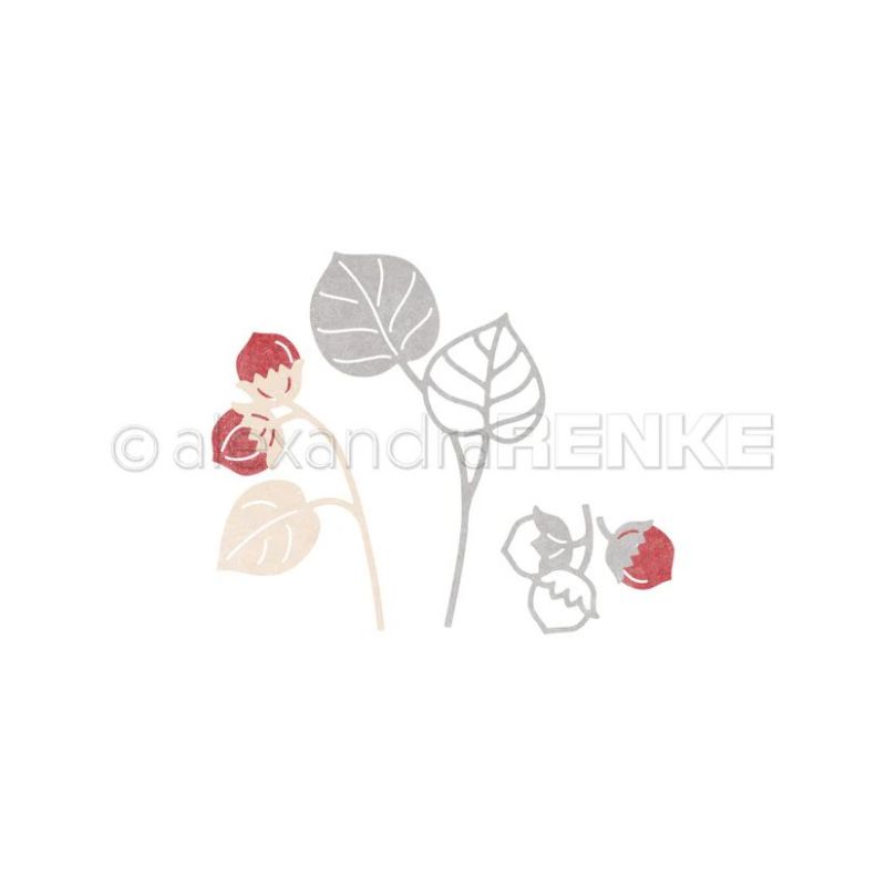 Piggy Craft metal cutting dies - Stencil Cutting Plotter ulasan dan harga