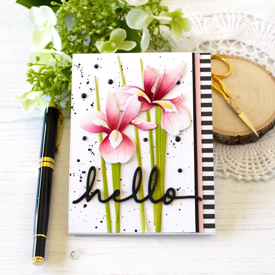 1pc Piggy Craft metal cutting  - Stencil Cutting Plotter ulasan dan harga