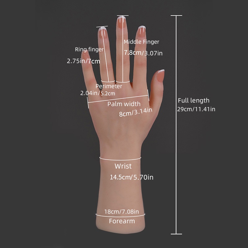 Realistic Silicone Replica of  - Art Craft Display ulasan dan harga
